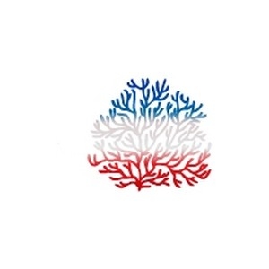 Red White and Blue Striped Coral